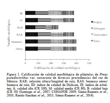 Calificación de calidad morfológica de plántulas de Pinus pseudostrobus var. oaxacana de diversas procedencias del sur de México. RAR: relación altura/longitud de raíz, RAS: biomasa aérea/biomasa de raíz, ID: índice de calidad de Dickson, IE: índice de esbeltez; A: calidad alta (CR 100), M: calidad media (CR 80), B: calidad baja (CR 50) (Santiago et al., 2007; CONAFOR 2009; Sáenz-Romero et al., 2010; Rueda-Sánchez et al., 2013; Sáenz-Romero et al., 2014).