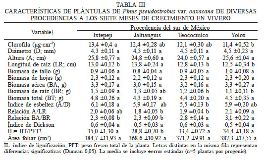 CARACTERÍSTICAS DE PLÁNTULAS DE Pinus pseudostrobus var. oaxacana DE DIVERSAS PROCEDENCIAS A LOS SIETE MESES DE CRECIMIENTO EN VIVERO