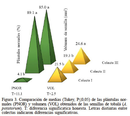 Comparación de medias (Tukey, P≤0,05) de las plántulas normales (PNOR) y volumen (VOL) obtenidos de las semillas de tobalá (A. potatorum). T: diferencia significatica honesta. Letras distintas entre colectas indicaron diferencias significativas.