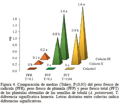 Comparación de medias (Tukey, P≤0,05) del peso fresco de radícula (PFR), peso fresco de plúmula (PFP) y peso fresco total (PFT) de las plántulas obtenidas de las semillas de tobalá (A. potatorum). T: diferencia significatica honesta. Letras distintas entre colectas indica diferencias significativas.