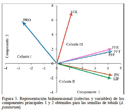 Representación bidimensional (colectas y variables) de los componentes principales 1 y 2 obtenidos para las semillas de tobalá (A. potatorum).