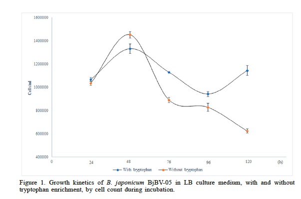 Growth kinetics of B. japonicum BjBV-05 in LB culture medium, with and without tryptophan enrichment, by cell count during incubation.