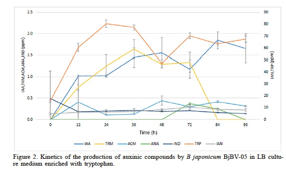 Kinetics of the production of auxinic compounds by B japonicum BjBV-05 in LB culture medium enriched with tryptophan