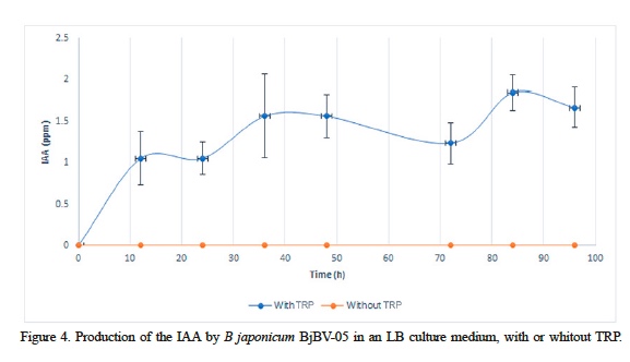 Production of the IAA by B japonicum BjBV-05 in an LB culture medium, with or whitout TRP