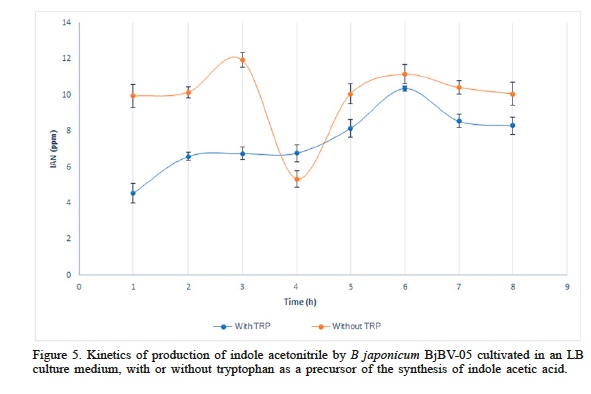 Kinetics of production of indole acetonitrile by B japonicum BjBV-05 cultivated in an LB culture medium, with or without tryptophan as a precursor of the synthesis of indole acetic acid.