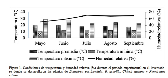 Condiciones de temperatura y humedad relativa (%) durante el periodo experimental en el invernadero donde se desarrollaron las plantas de Bouteloua curtipendula, B. gracilis, Chloris gayana y Pennisetum ciliare.