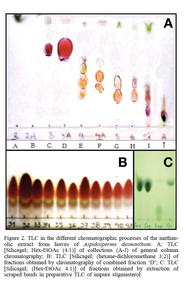 TLC in the different chromatographic processes of the methanolic extract from leaves of Aspidosperma desmanthum. A: TLC [Silicagel; Hex-EtOAc (4:1)] of collections (A-J) of general column chromatography; B: TLC [Silicagel; (hexane-dichloromethane 3:2)] of fractions obtained by chromatography of combined fraction ‘D’; C: TLC [Silicagel; (Hex-EtOAc 4:1)] of fractions obtained by extraction of scraped bands in preparative TLC of impure stigmasterol.