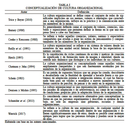 CONCEPTUALIZACIN DE CULTURA ORGANIZACIONAL