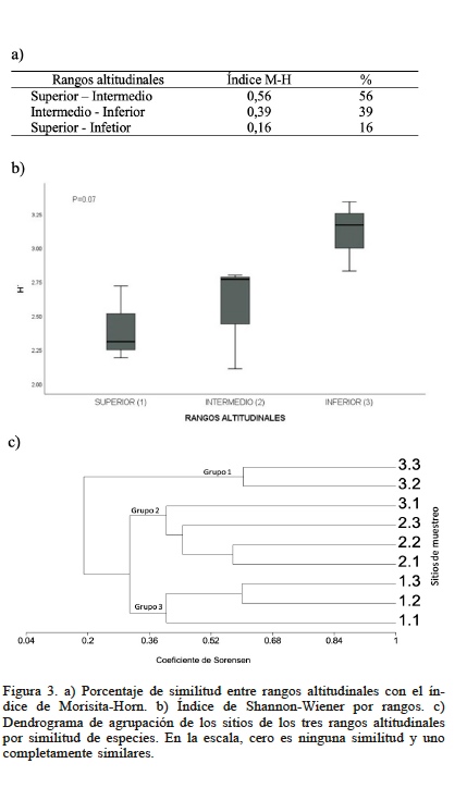 Figura 3. a) Porcentaje de similitud entre rangos altitudinales con el �ndice de Morisita-Horn. b) �ndice de Shannon-Wiener por rangos. c) Dendrograma de agrupaci�n de los sitios de los tres rangos altitudinales por similitud de especies. En la escala, cero es ninguna similitud y uno completamente similares.