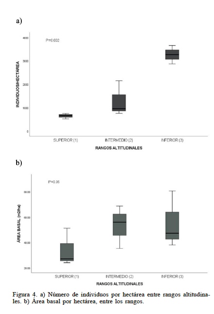 Figura 4. a) N�mero de individuos por hect�rea entre rangos altitudinales. b) �rea basal por hect�rea, entre los rangos.
