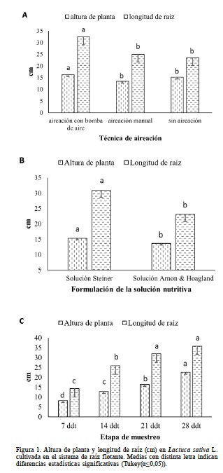 Altura de planta y longitud de ra�z (cm) en Lactuca sativa L. cultivada en el sistema de ra�z flotante. Medias con distinta letra indican diferencias estad�sticas significativas (Tukey(α&le;0,05)).