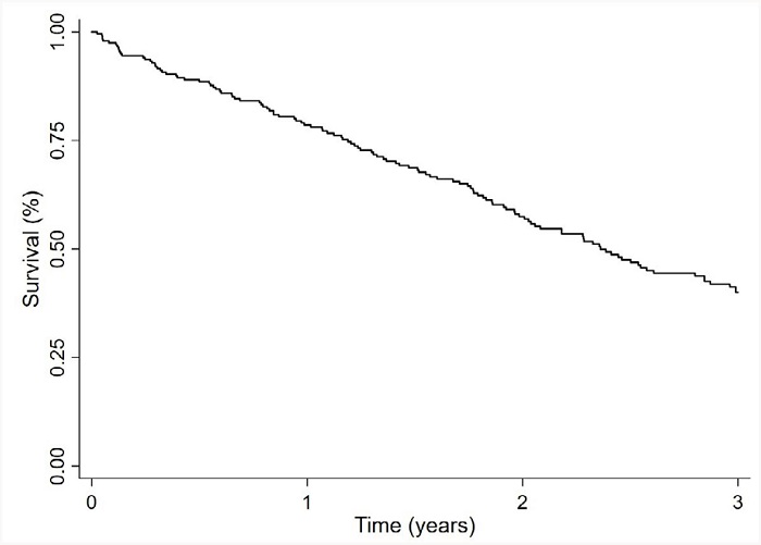 Kaplan-Meier survival curve during the 3 years of follow-up.
