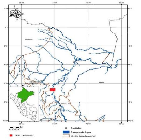 Área de localización del estudio. En verde, ubicación del departamento de Loreto; en cuadro rojo, ubicación del área de estudio ubicado en el Poblado Miguel Grau, provincia de Sarayacu, departamento de Loreto.