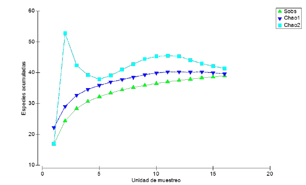 Curva de acumulación de especies con los indicadores no paramétrico Chao 1 (azul); Chao 2 (celeste); Especies observadas (verde) en Sarayacu, Loreto.