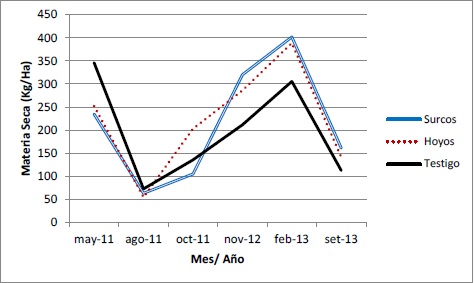 Curva temporal del mantillo del pastizal tratado con técnicas de mejora de suelos