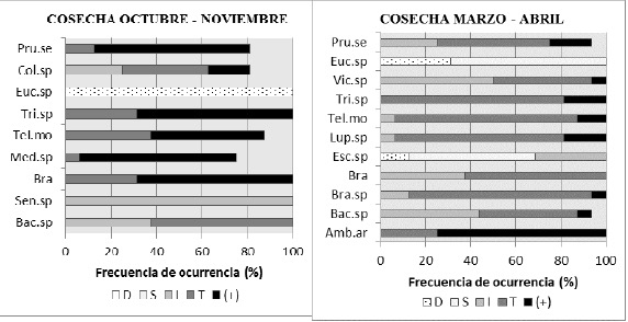 Morfotipos polínicos con frecuencias de ocurrencia (F.O.) mayores al 75 % para cada una de las dos cosechas correspondientes a la temporada apícola 2012 – 2013. D: dominante, S: secundario, I: menor importancia, T: traza y “+”: presente, Amb.ar: Ambrosia arborescens, Bac.sp: Baccharis sp., Bra.sp: Brassica sp., Bra: Brassicaceae, Col.sp: Colletia spinosissima, Esc.sp: Escallonia sp., Euc.sp: Eucalyptus sp., Lup.sp: Lupinus sp., Med.sp: Medicago sp., Pru.se: Prunus serotina, Sen.sp: Senecio sp., Tel.mo: Genista monspessulana, Tri.sp: Trifolium sp., Vic.sp: Vicia sp .