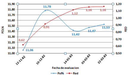 Maduración variedad PCG12-745,
     Paramonga.