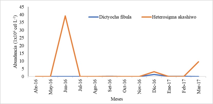 Variación temporal en valores medios de Dictyochophyceae y Raphidophyceae durante el periodo de estudio.