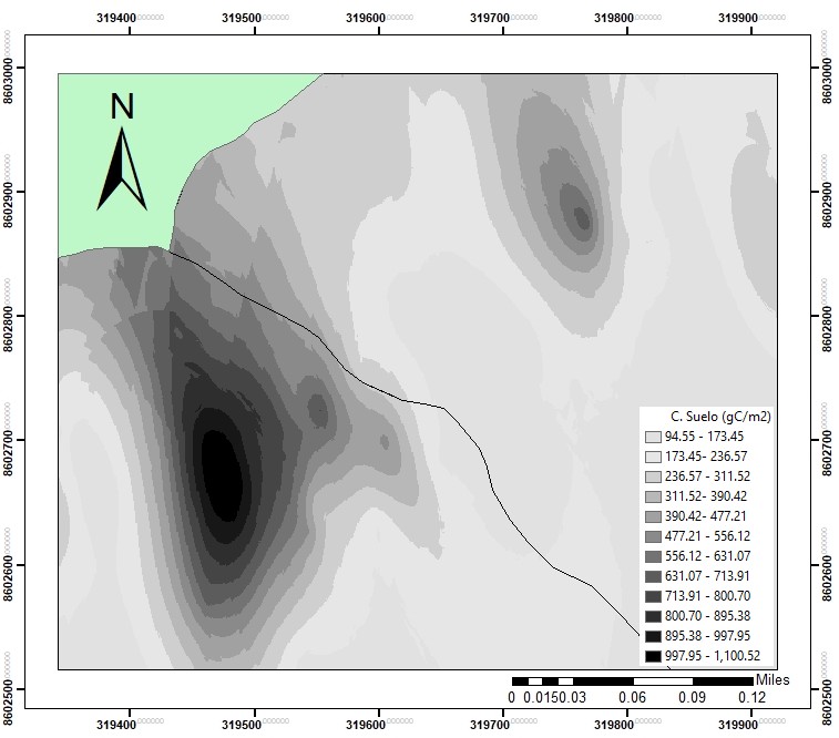 Mapa de carbono del suelo en el área de estudio. Los colores oscuros representan las áreas con mayor carbón almacenado en las Tillandsias.