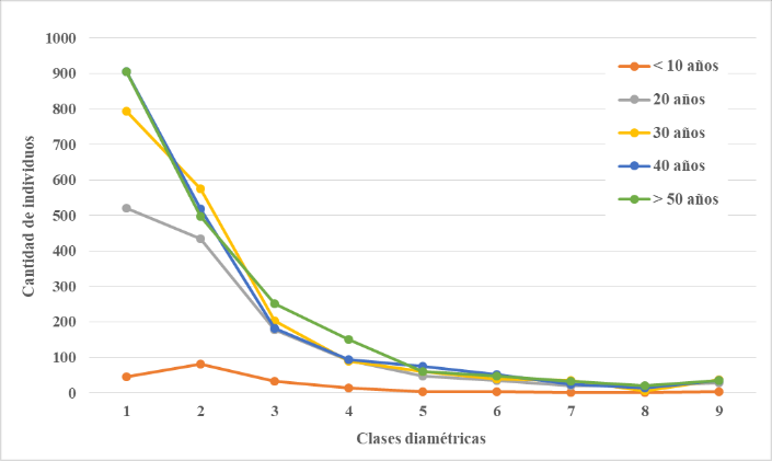 Clases diamétricas en las cinco edades de bosque evaluadas.