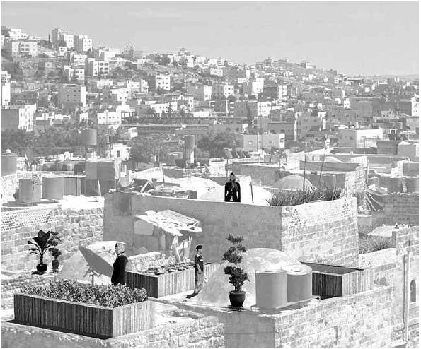 Hebron: Roof Gardens Project, BSP. Photo Simon Harris