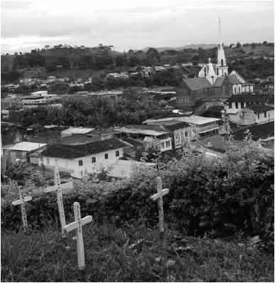  Valle del Cauca; example of stigmatisation tree. Photo ObsSV