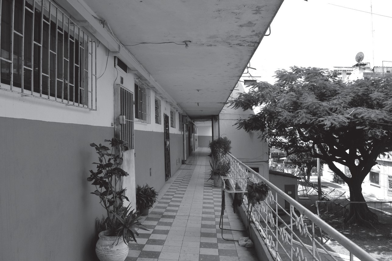 Galería ocupada por objetos que comparten familias que se encuentran
próximas.