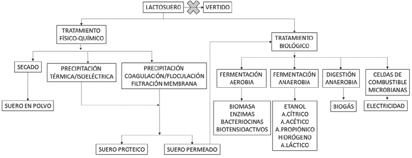 Principales tratamientos del lactosuero y productos derivados de su aplicaci&oacute;n [6].