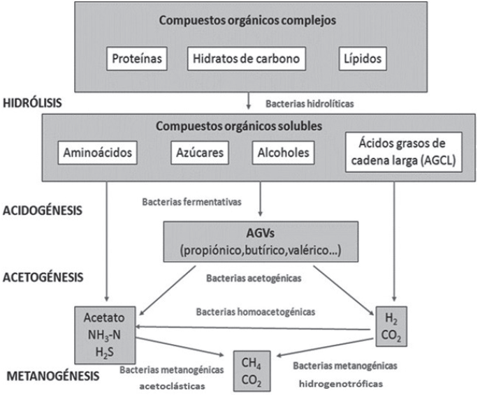 Esquema del proceso de digesti&oacute;n anaerobia [22].