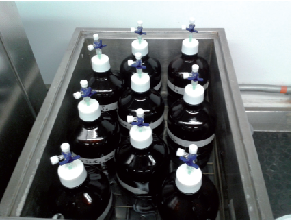 Montaje experimental utilizado en los ensayos de PMB.