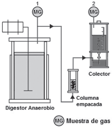 Esquema del proceso de purificaci&oacute;n del biog&aacute;s.