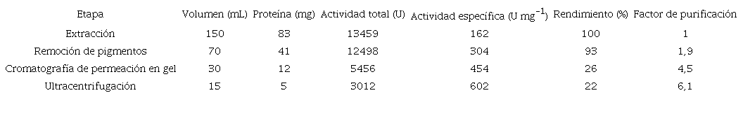 Etapas de la purificación parcial de la peroxidasa de asto guinea.