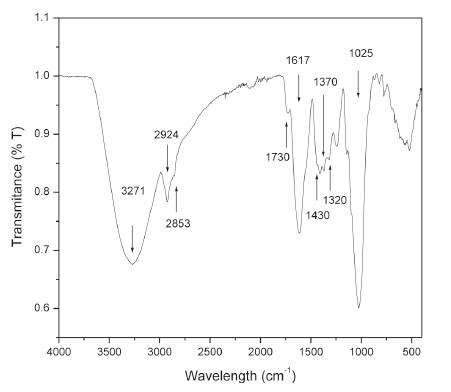 FTIR spectrum of okra powder.