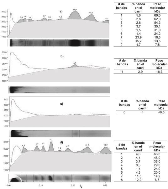Electroferograma por Tricina-SDS PAGE de: a) Solución de proteínas de lactosuero previo a la hidrólisis; b) Proteínas de lactosuero hidrolizadas durante 150 min (tiempo medio a la estabilización); c) Proteínas de lactosuero hidrolizadas durante 300 min. d)Marcador de proteínas utilizado como patrón. Fuente: elaboración propia.