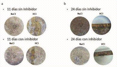 Inspección visual de las muestras sometidas a los medios de estudio a) 11 días de exposición y b) 24 días de exposición.