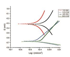Curvas Tafel sometidas en HCl y evaluadas en agua destilada durante 24 días