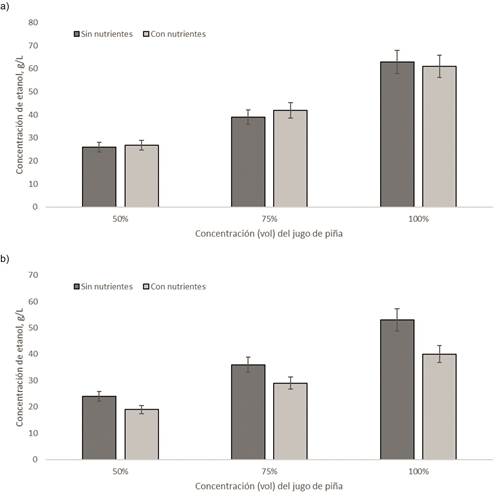 Producci&oacute;n de etanol a partir de jugo de pi&ntilde;as de rechazo utilizando diferente concentraci&oacute;n de jugo de pi&ntilde;a en los medios de cultivo, a) fermentaci&oacute;n con S. cerevisiae, b) fermentaci&oacute;n con microorganismos nativos de la pi&ntilde;a.