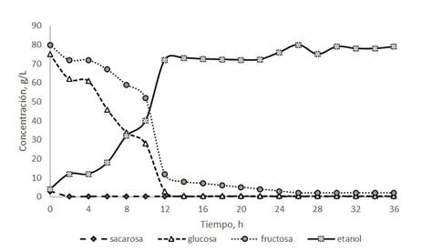 Perfil de concentraci&oacute;n de az&uacute;cares y etanol para 36 h de fermentaci&oacute;n con S. cerevisiae, jugo sin diluir, sin adici&oacute;n de nutrientes, 30 &deg;C, pH = 4,5.