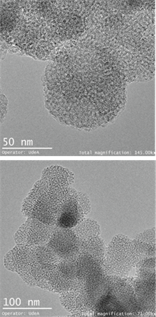 Imagenes TEM de las nanopart&iacute;culas sintetizadas