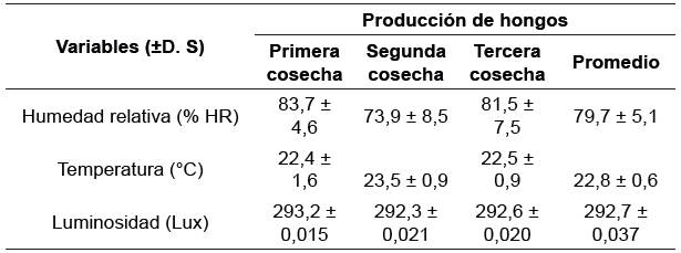 Condiciones del cultivo para producci&oacute;n de hongos Pleurotus ostreatus.