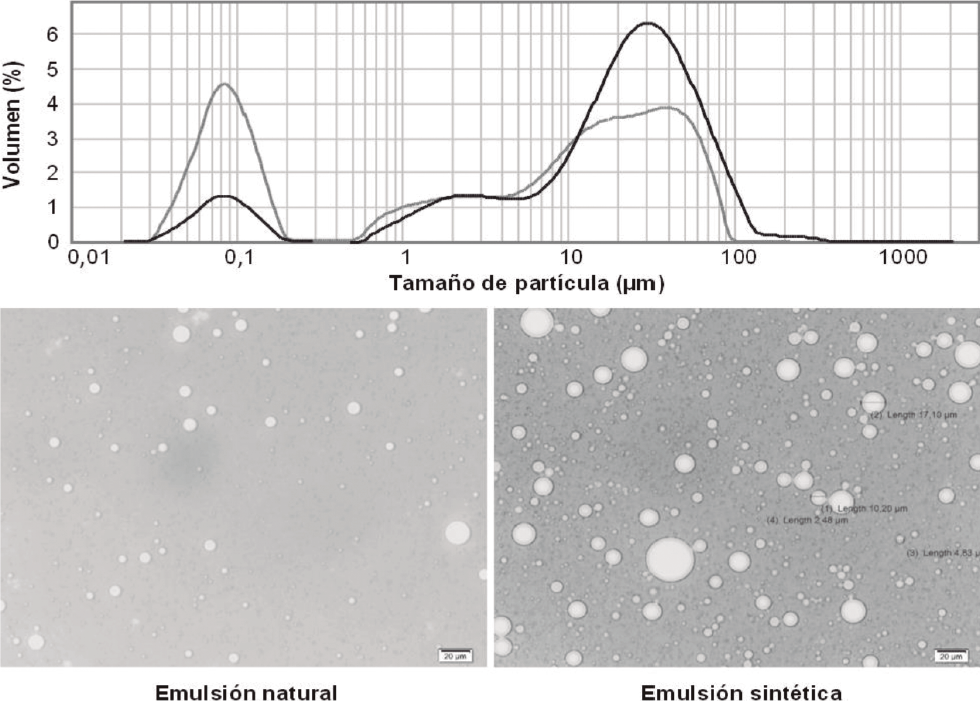 Grfico de distribucin, tamao de partcula e imagen de microscopia de la emulsin directa natural y sinttica (crudo troncal PG).