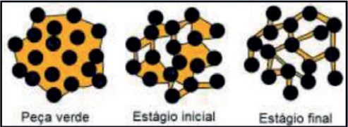 Evolu��o da microestrutura durante as etapas de extra��o [18].