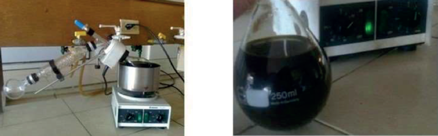 Extracto concentrado de cal�ndula.