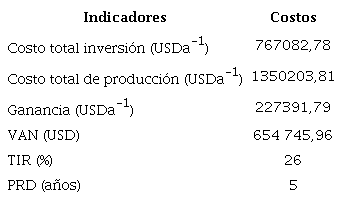 Resumen del análisis económico.