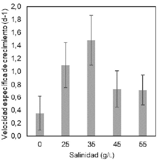 Velocidad específica de crecimiento de Tetraselmis sp. en función de la concentración salina.