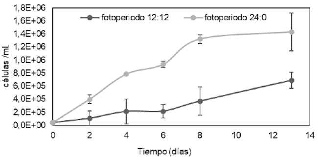 Densidad celular de Tetraselmis sp. bajo diferentes fotoperiodos.