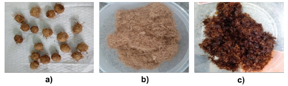 Biomassa extraída do despolpamento do fruto do açaí; a) Caroço com fibra purificada e seca; b) Fibra lavada e seca retirada manualmente do caroço; c) Fibras de açaí após tratamento com NaOH.