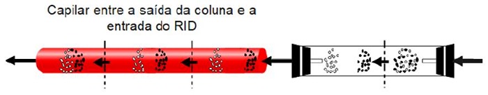 Representação da separação entre os analitos interferentes da amostra (partículas brancas) e o sorbitol (partículas pretas) desde à entrada na coluna de separação até o fim do capilar de entrada no RID.
