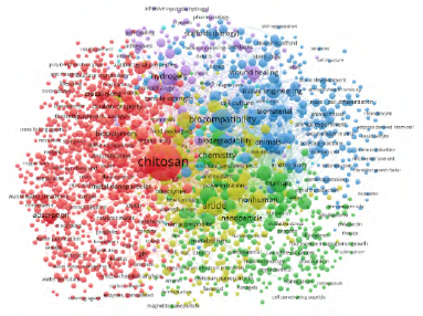 Bibliometric Network Vosviewer® Chitosan +application.