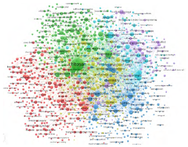 Bibliometric Network Vosviewer® Chitosan+ Application chemical.